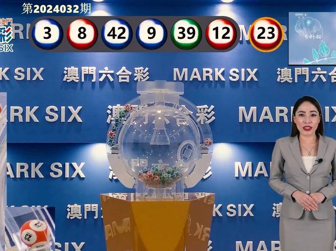 澳门资料大全正版资料查询2024年,澳门资料大全2020