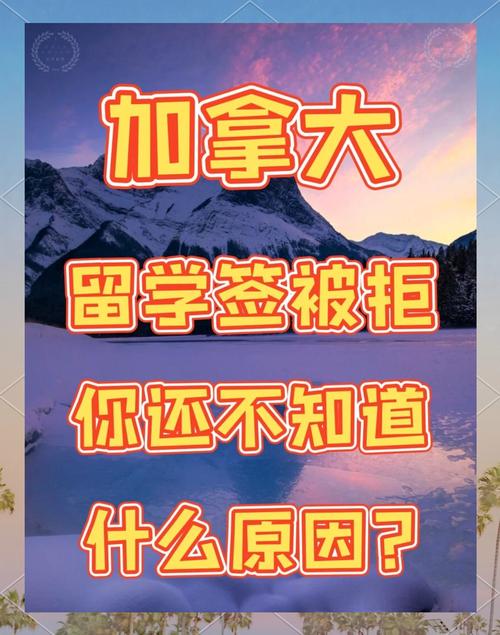 加拿大人拒赴美旅游,加拿大人拒赴美旅游的原因