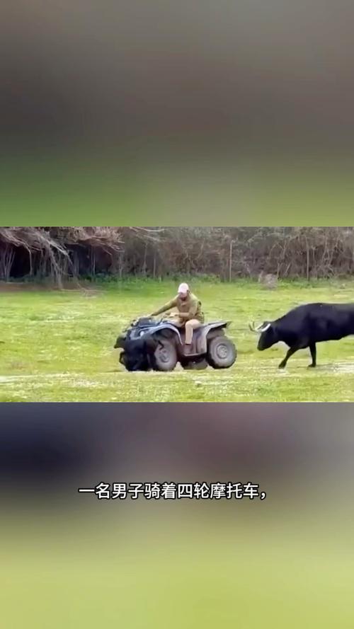 新闻中心 第30页