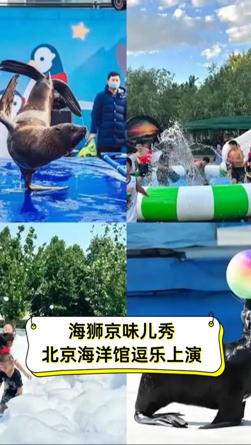 下载中心 第19页